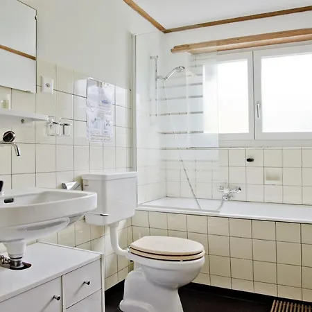 Dağ evi Chalet Gletscherbach - Griwa Rent Ag *